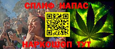 прущие грибы Будённовск