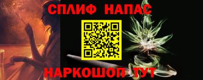 прущие грибы Будённовск