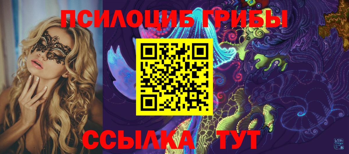 Псилоцибиновые грибы Psilocybe  Псилоцибиновые грибы мицелий  Кубинка  Вход с VPN 